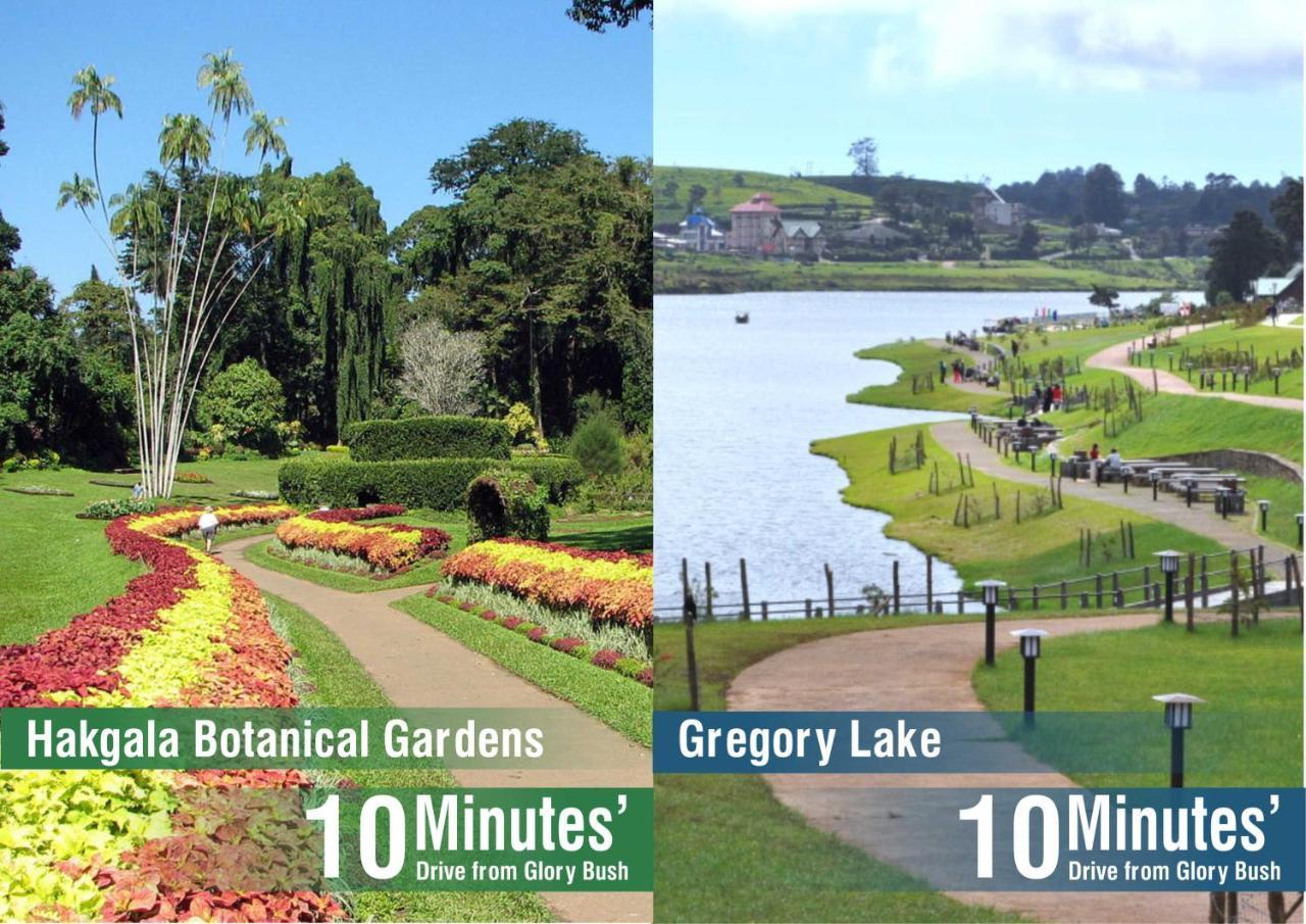Glory Bush Boutique Villa Nuwara Eliya Kültér fotó