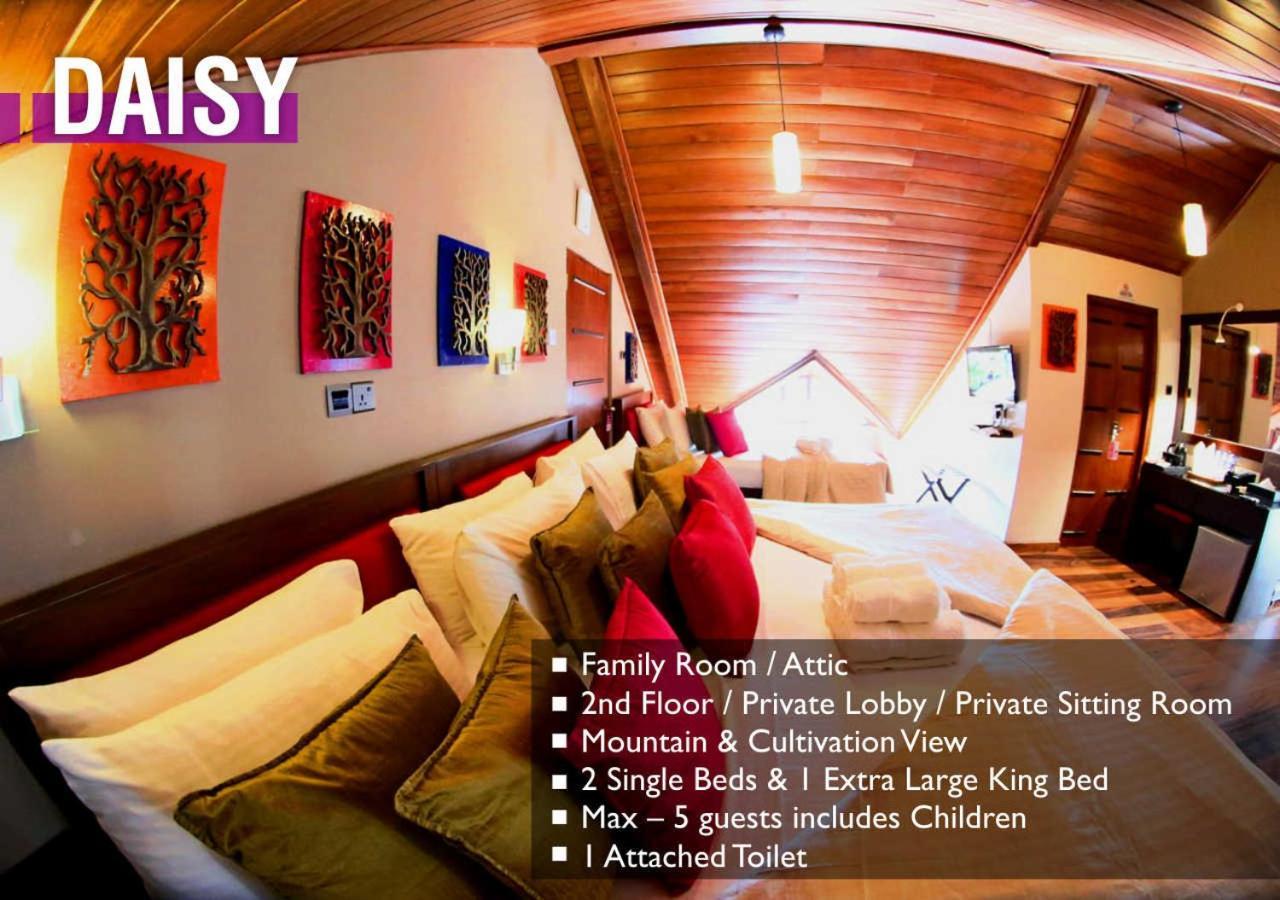 Glory Bush Boutique Villa Nuwara Eliya Kültér fotó