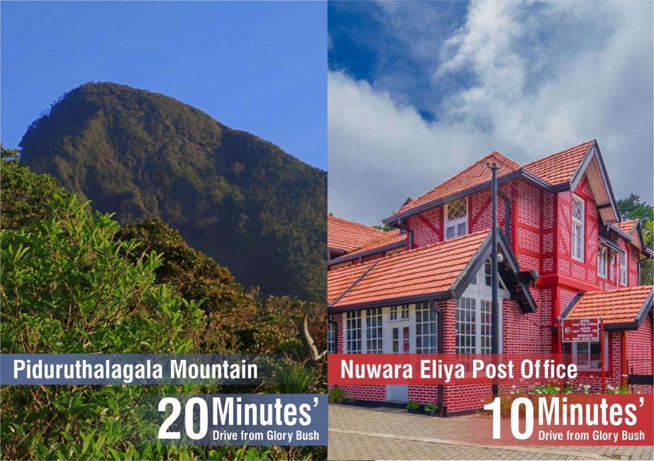 Glory Bush Boutique Villa Nuwara Eliya Kültér fotó