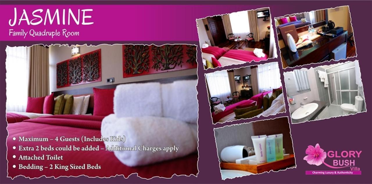 Glory Bush Boutique Villa Nuwara Eliya Kültér fotó