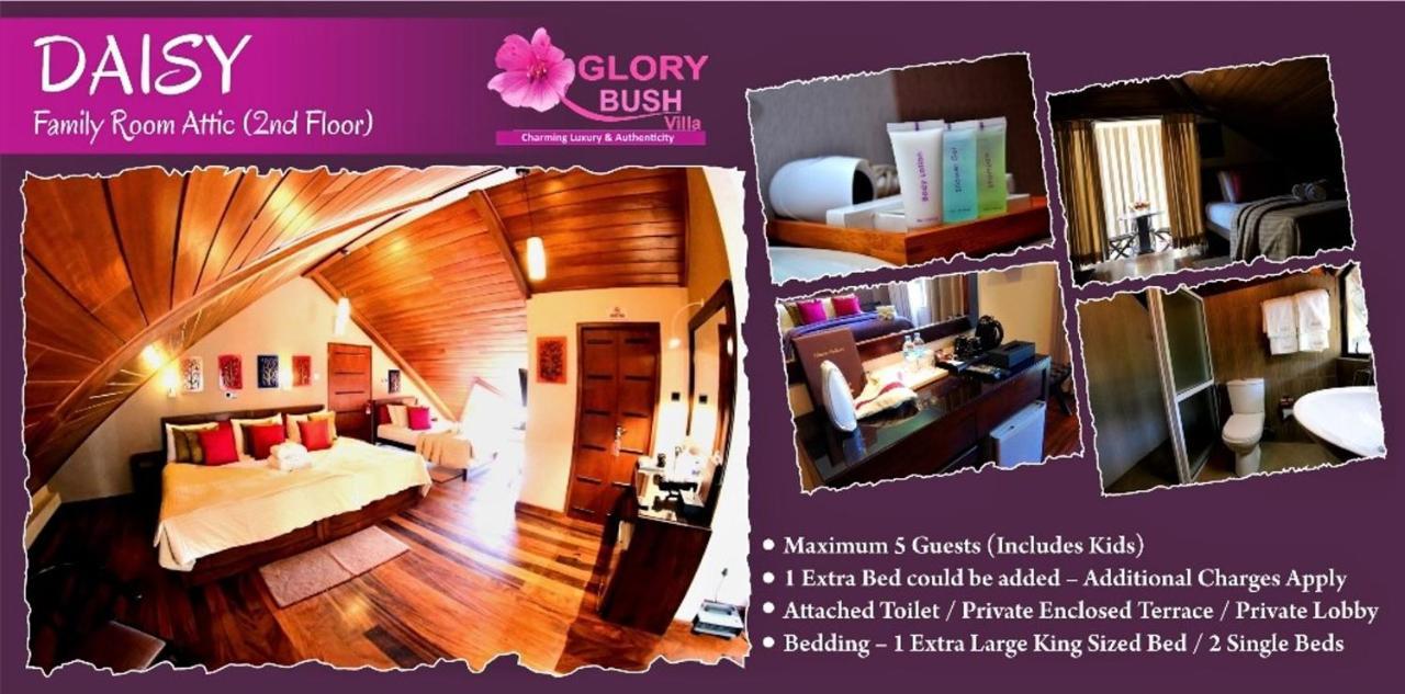 Glory Bush Boutique Villa Nuwara Eliya Kültér fotó